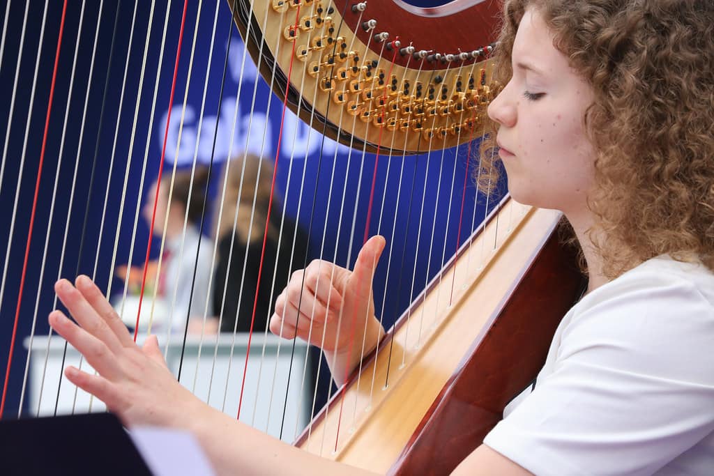 harp lessons twickenham, richmond, tw