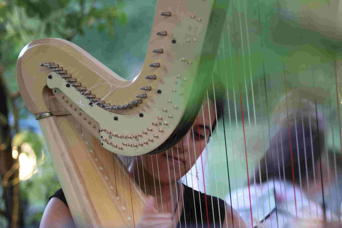 harp lessons woodside park, barnet, n12