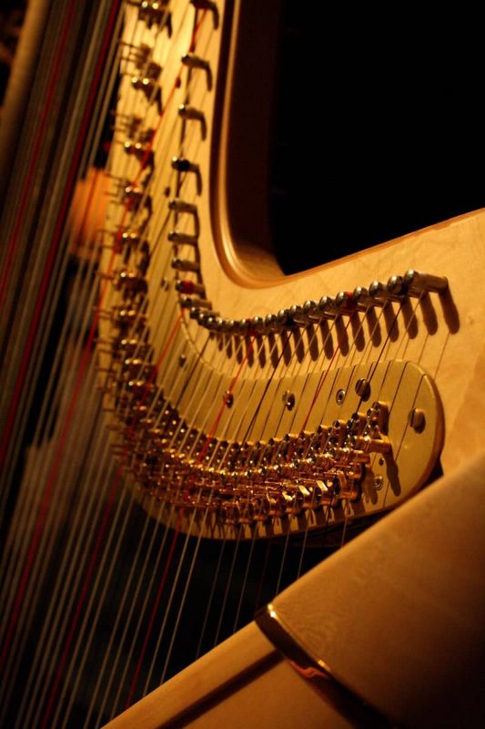 harp lessons angel, islington, ec1