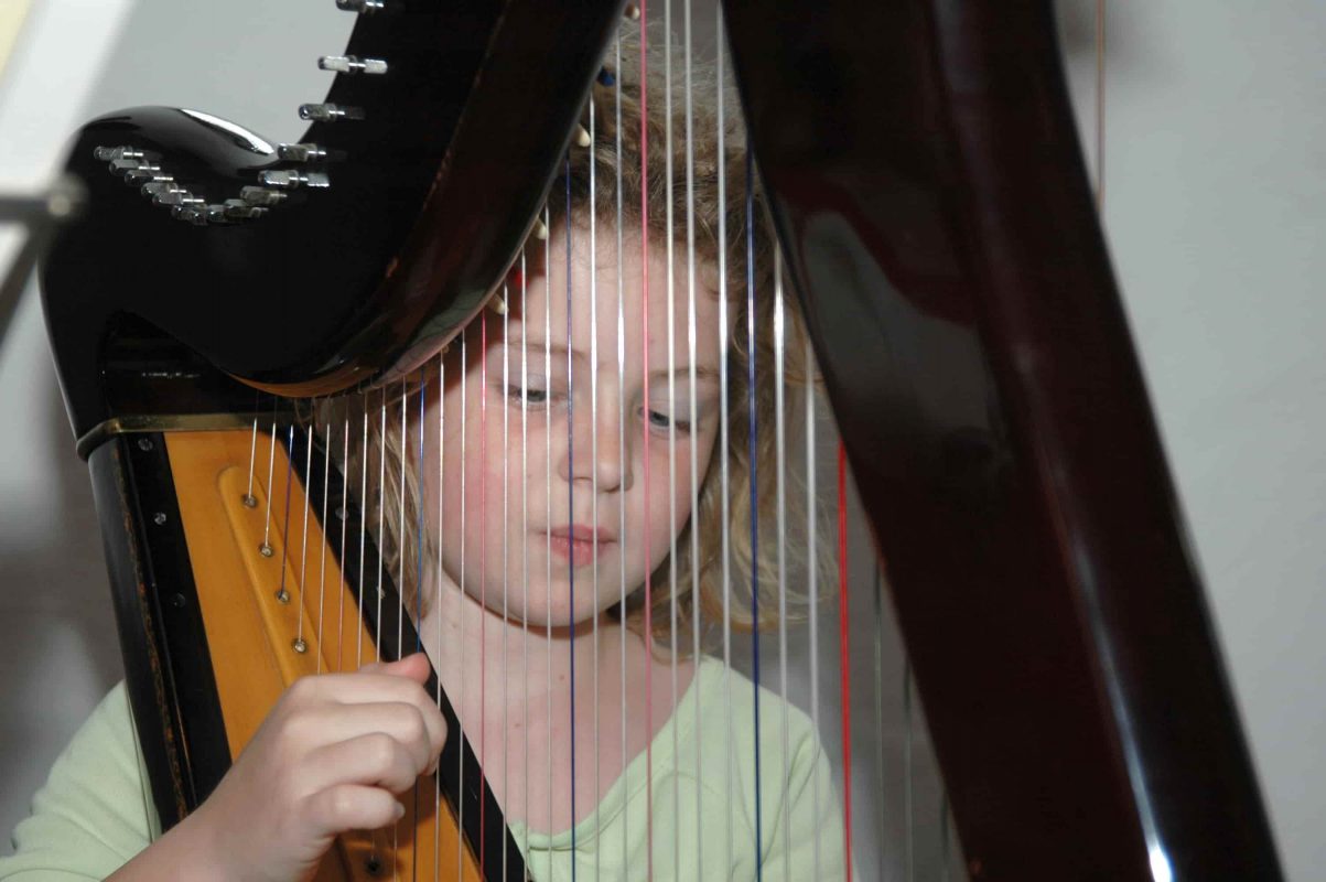 harp lessons clerkenwell, camden/islington, ec1