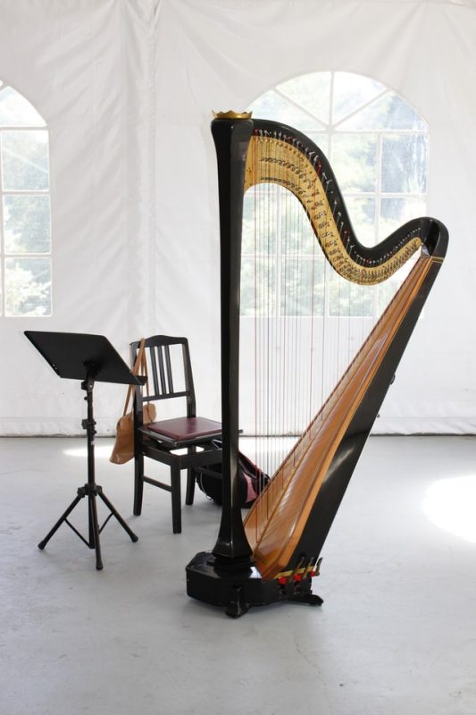 harp lessons belsize park, camden, nw3