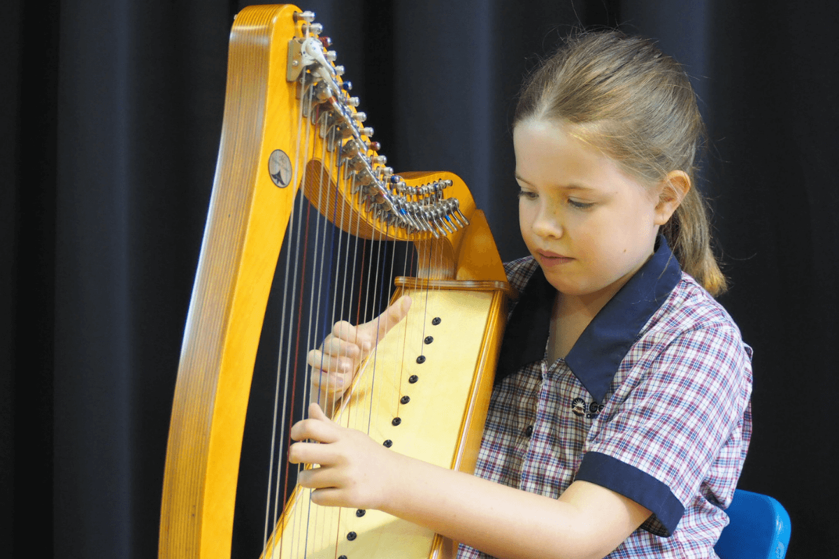 harp lessons at home or online